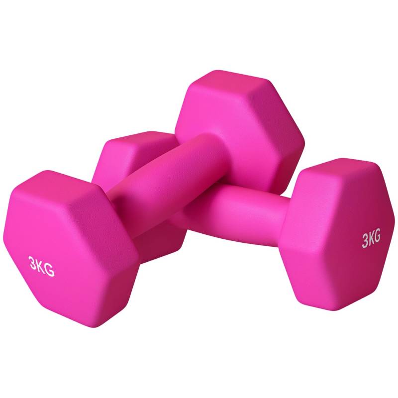 SPORTNOW Kurzhantel 2er Set Kunststoff Metall Rosa 18L x 8B x 8H cm von SPORTNOW