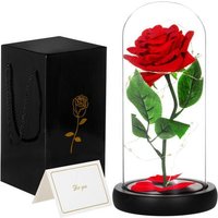 Ewige Rose in einer 22 cm großen leuchtenden LED-Dekoration in einem Glas - rotes Geschenk Ewige Rose in einer 22 cm großen leuchtenden LED-Dekoration in einem Glas - rotes Geschenk von SPRINGOS