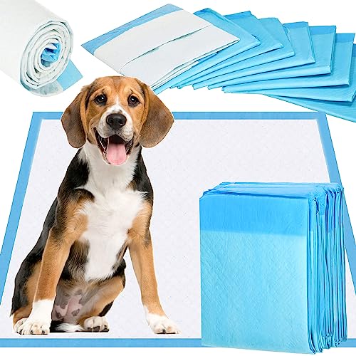 SPRINGOS Hygieneunterlagen für Haustiere 10 Stück Welpenunterlagen 40 x 60 cm von SPRINGOS