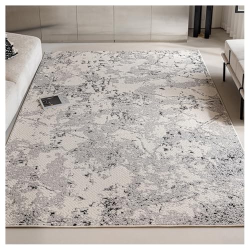 SPXMQSS Teppiche Wohnzimmer, Grau Weich Kurzflor Polypropylen Schlafzimmer Teppich rutschfest Fleckenbeständig für Wohnzimmer, Schlafzimmer, Esszimmer, Küche, Büro C 160x300cm von SPXMQSS