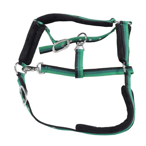 SPYMINNPOO Gepolstertes Pferdehalter, Einstellbare Hochleistungs -Nylonpferdhalter mit Ergonomischem Design für Trainingsreiten und Handhabung, Langlebige Konstruktion, Einfache Wartung, Passform, von SPYMINNPOO