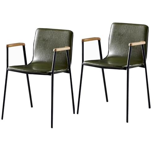 SPYQKHSH Industrielle Esszimmerstühle, 2er-Set, moderner Sessel aus der Mitte des Jahrhunderts, hochwertige Kaffeestühle, gepolsterter Stuhl aus PU-Leder, Grau und Grün (Color : B) von SPYQKHSH