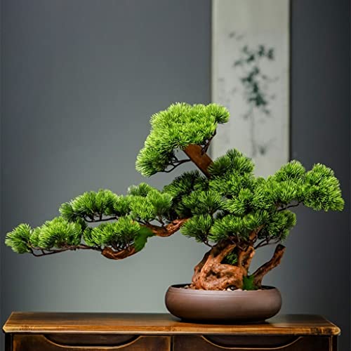 SQLCF Künstliche Bonsai-Pflanze - Simulation Welcome Kiefer Bonsai für Büro, Wohnzimmer und Geschäft - Grüne Topf-Dekoration für Wohlstand von SQLCF