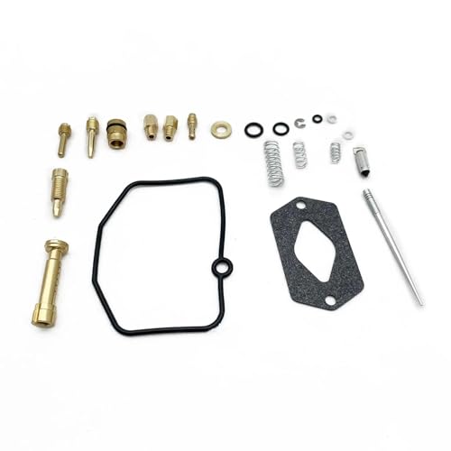SQNYDH Motorrad-Vergaser-Reparatursatz Für Yamaha DT125R DT125X DT 125R 125X 125 R X 1988-2003 Schwimmnadelsitzdichtung Umbausatz Ersatzteilsatz Vergaser-Reparatur-und Umbausatz(Satz 1) von SQNYDH