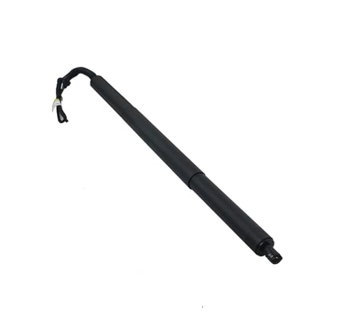 SQOFJGIGN Kofferraumdämpfer 1 stücke Links/Rechts Power Hatch Lift Unterstützung Für X3 F25 2011-2017 51247232003 51247232004 Elektrische Heckklappe Gas streben Elektrische Heckklappenstrebe(Links) von SQOFJGIGN