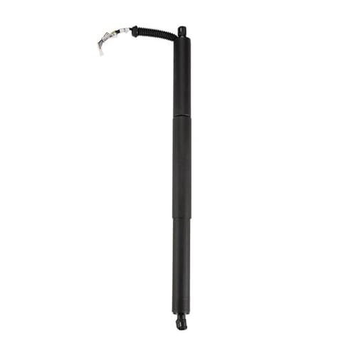 SQOFJGIGN Kofferraumdämpfer Auto Heckklappe Power Opener Hatch Lift Unterstützung 51247350837 Für X1 F48 F49 2014-2018 Spindel Heckklappe Federbein Elektrische Heckklappenstrebe von SQOFJGIGN