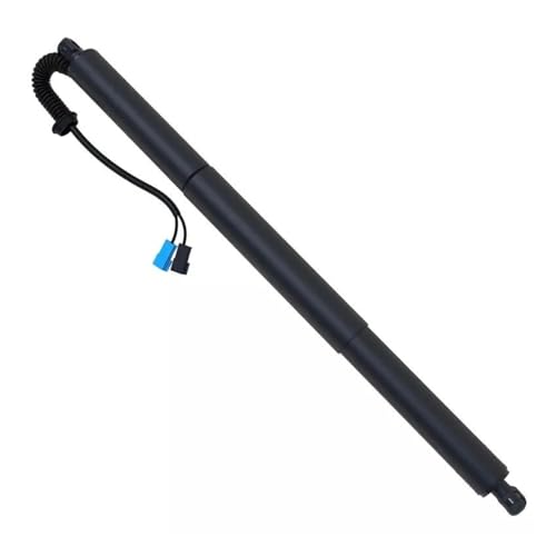 SQOFJGIGN Kofferraumdämpfer Auto Hinten Rechts Lift Unterstützung Elektrische Heckklappe Spacer 51247481807 Gepäck Air Frühling Für X1 F48 2014-2020 Elektrische Heckklappenstrebe von SQOFJGIGN