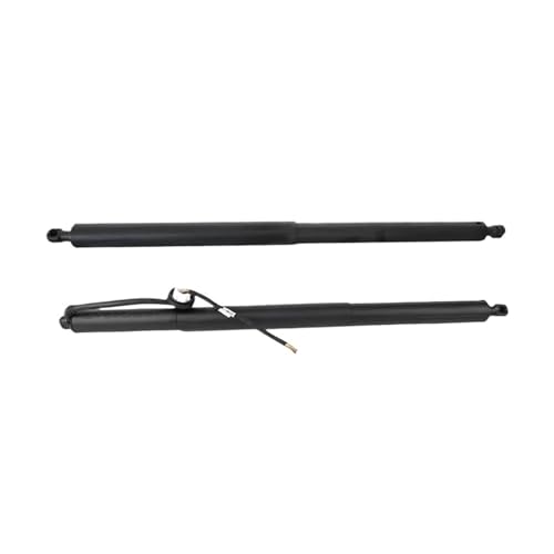 SQOFJGIGN Kofferraumdämpfer Für Tesla Modell X Heckklappe Elektrische Heckklappe Unterstützung Bar Stamm Lift Tor Strut 106566400B 112969800A Elektrische Heckklappenstrebe(A Pair) von SQOFJGIGN