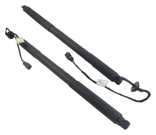 SQOFJGIGN Kofferraumdämpfer Power Heckklappe Elektrische Heckklappe Strut LRH 6600142295 Für Proton X70 Elektrische Heckklappenstrebe(1 Paar) von SQOFJGIGN