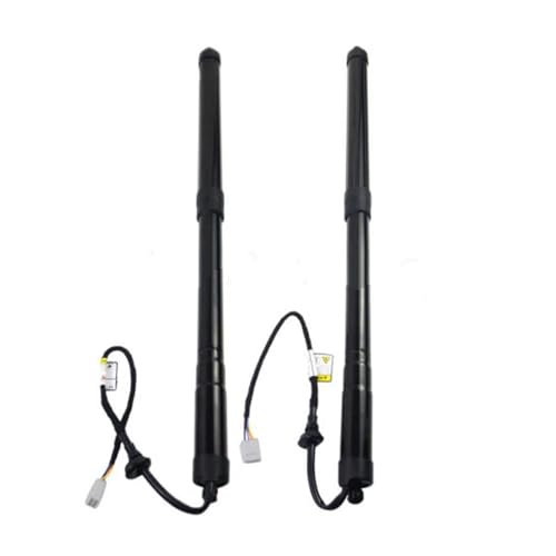 Gasdruckfeder 68910-48071 Auto Hinten Rechts Lift Unterstützung Elektrische Heckklappe Spacer 6891048071 Gepäck Fach Air Spring Für Lexus RX 2015-2022 Gasfeder Gasdruckfeder Lift Stützen(PAIR) von SQOGJSGZ