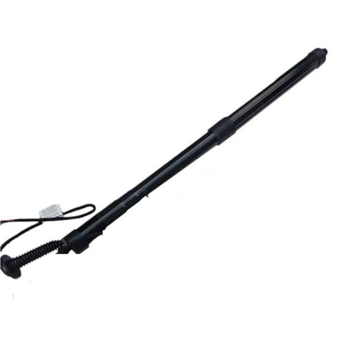 Gasdruckfeder 68910-79005 68910-79016 Power Hatch Lift Unterstützung Für Lexus NX200t NX300h 2.0L 2.5L 2014 2015 2016 Elektrische Heckklappe Gas Streben Gasfeder Gasdruckfeder Lift Stützen(Links) von SQOGJSGZ