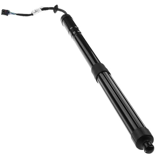 Gasdruckfeder Heckklappen-Gasdruckfeder Elektrische Heckklappenheber Für Hyundai Für Santa Fe 2013–2016 Auto-Heckklappen-Schock-Gasdruckfeder 81780B8100 Hinten Gasfeder Gasdruckfeder Lift Stützen Gasdruckfeder Heckklappen-Gasdruckfeder Elektrische Heckklappenheber Für Hyundai Für Santa Fe 2013–2016 Auto-Heckklappen-Schock-Gasdruckfeder 81780B8100 Hinten Gasfeder Gasdruckfeder Lift Stützen von SQOGJSGZ