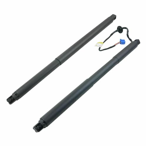 Gasdruckfeder Heckklappen-Powerlift-Unterstützung Für Benz W166 ML GLE-Klasse Elektrische Heckklappen-Gasdruckfedern 1668901130 1668900430 1669802164 Gasfeder Gasdruckfeder Lift Stützen(L and R) von SQOGJSGZ