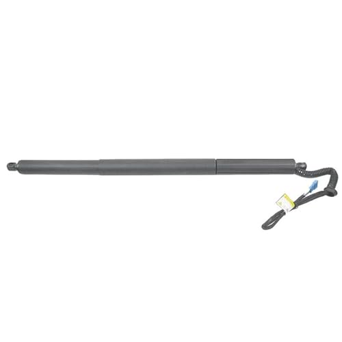 SQOGJSGZ Gasdruckfeder Hinten Rechts Elektrische Heckklappe Gas Strut Stamm Lift Unterstützung Teile Komponente Für X3 F25 Xdrive 2010-2017 51247232004 Gasfeder Gasdruckfeder Lift Stützen SQOGJSGZ Gasdruckfeder Hinten Rechts Elektrische Heckklappe Gas Strut Stamm Lift Unterstützung Teile Komponente Für X3 F25 Xdrive 2010-2017 51247232004 Gasfeder Gasdruckfeder Lift Stützen von SQOGJSGZ