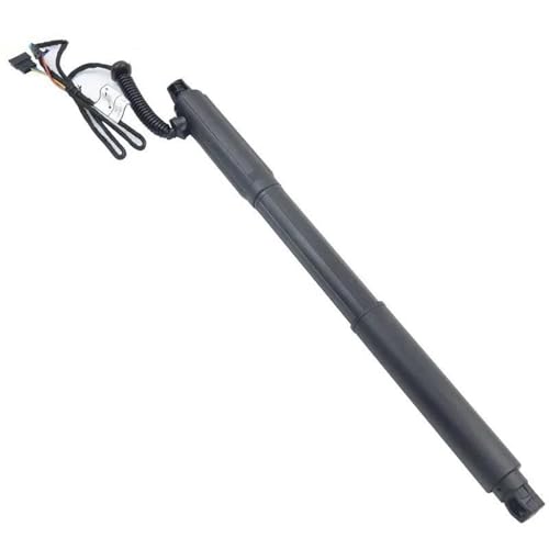 SQOGJSGZ Gasdruckfeder OEM 51247332695 51247332696 Hinten Links & Rechts Heckklappe Elektrische Strut Für X5 E70 E72 Gas Streben Gasfeder Gasdruckfeder Lift Stützen(Links) von SQOGJSGZ