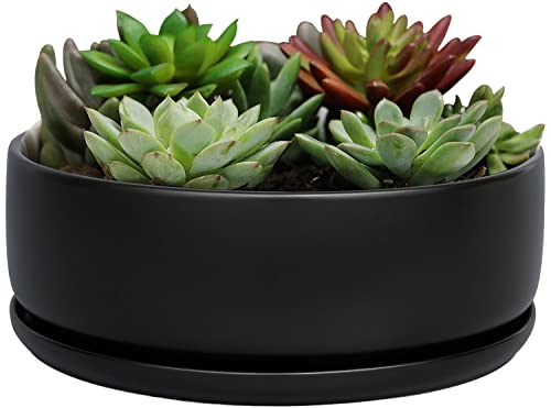 SQOWL 20,3 cm moderner runder Blumentopf aus schwarzer Keramik Kaktus Sukkulenten Pflanzschale mit abnehmbarem Untersetzer von SQOWL