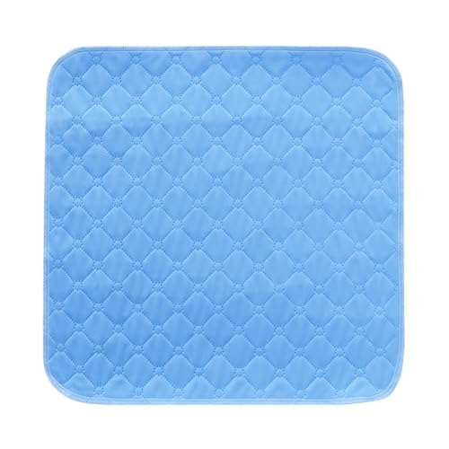 SQOYEI Senioren Rutschfest Inkontinenzunterlage Waschbar, Steppnaht Langlebig Waschbare Inkontinenz Stuhlauflage, Camping Inkontinenz Bettunterlage Sofa(Sky Blue) von SQOYEI