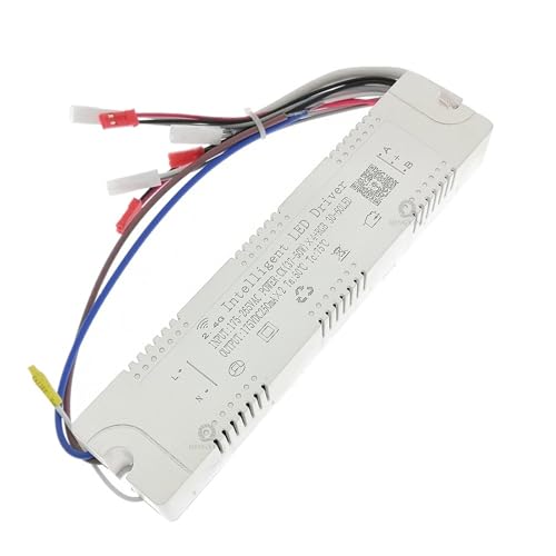 1pcs 2.4G Remote & APP Intelligent LED Driver 25-40Wx2 x4 37-50Wx2 x4 x6 37-60Wx2 x4 x6+ RGB 30-60LED Dimming&Color-Changeable(37-60x4-RGB 30-60LED) von SQSKSSWOB