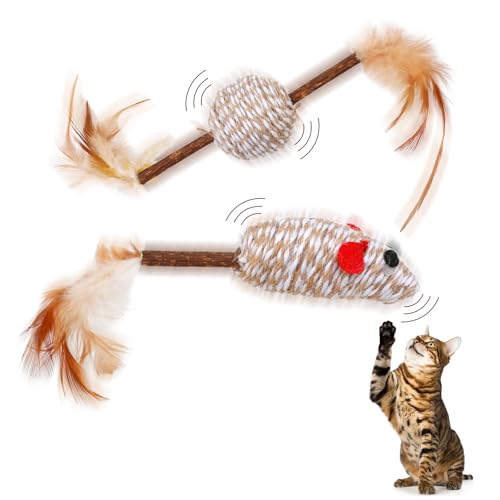 SRIZIAN Katzen Spielzeug, Feder Teaser Katze Spielzeug, Bälle mit Feder, Maus Kätzchen Spiel Sport Chase Training Ball SRIZIAN Katzen Spielzeug, Feder Teaser Katze Spielzeug, Bälle mit Feder, Maus Kätzchen Spiel Sport Chase Training Ball von SRIZIAN