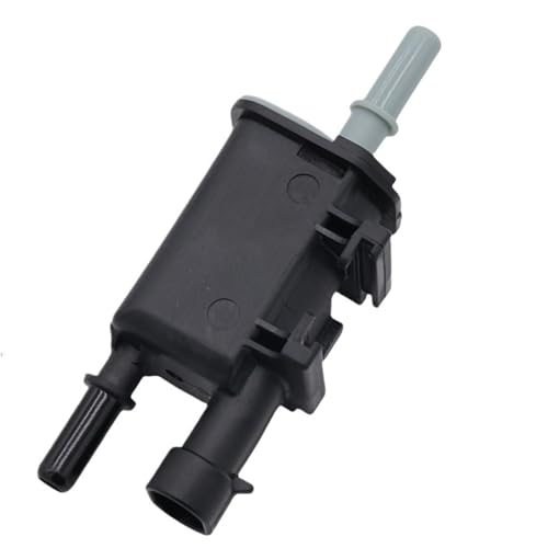 Evap Emission Kanister Purge Magnet 12597567 12606684 12570469 12597566 12597341 12581349 Fit Für GM Buick Allure(1 PCS Type1) von SRKATI