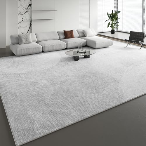 SRTJURFG Moderner Wohnzimmer Teppich 70x140 cm Kurzflor Weich Waschbar Teppich für Schlafzimmer Küche Leicht zu Reinigen Moderne Linien grau von SRTJURFG