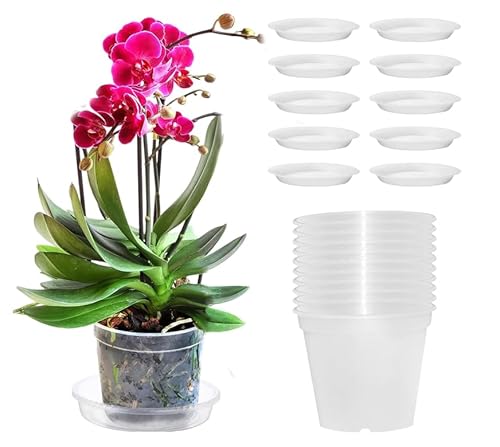 SRTSTR 10 Stück Orchideentopf Transparent 11,5cm Orchideen übertopf Anzuchttöpfe Transparent Mit Drainageloch/Untersetzer Für Indoor Outdoor Balkon Schreibtisch von SRTSTR