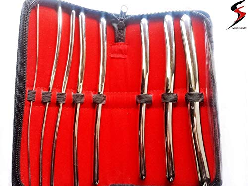 SS Hegar Sounds Dilatator Urethral Chirurgische Gyne Diagnosegerät Set Harnröhren Dilator Set | 8 Hegar Stifte mit Doppelenden 1mm bis 16mm | Elegant und diskret im schwarzen Etui von SS INSTRUMENTX