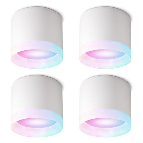 SSC-LUXon Aufputz Deckenleuchte VORA weiß 4 Stück Alexa, Siri & Google kompatibel - Aufbauspot mit Smart Home GX53 LED RGBW WLAN von SSC-LUXon