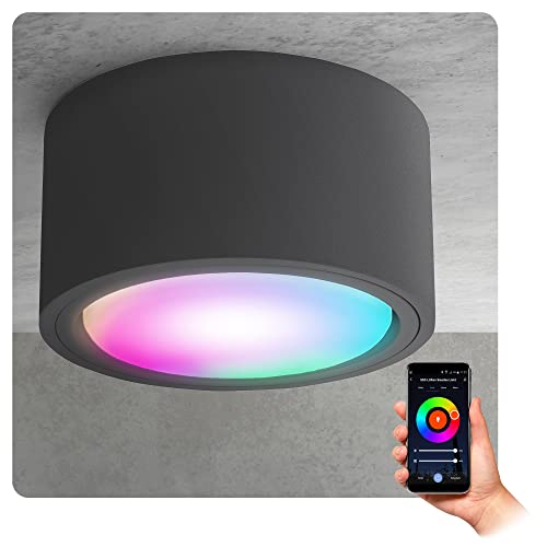 SSC-LUXon CELI-X Aufbauspot flach inkl. LED Leuchtmittel kompatibel mit Alexa, Siri & Google - Deckenspot mit Smart LED RGB+W GX53 von SSC-LUXon