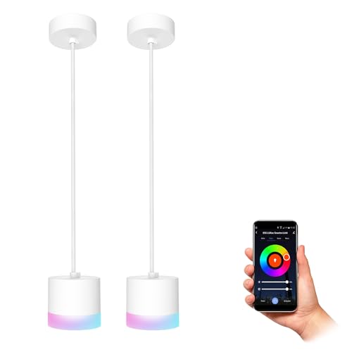 SSC-LUXon Design Deckenleuchte VORA 2er Set - moderne Pendelleuchte inkl. Smart Home GX53 Lampe kompatibel mit Alexa, Google & Siri von SSC-LUXon