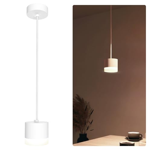 SSC-LUXon Design Deckenleuchte VORA matt weiß - moderne Pendelleuchte Esstisch mit Leuchtring inkl. GX53 Lampe neutralweiß 3W von SSC-LUXon