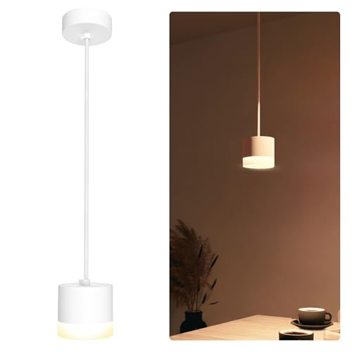 SSC-LUXon Design Deckenleuchte VORA matt weiß - moderne Pendelleuchte Esstisch mit Leuchtring inkl. GX53 Lampe warmweiß 3W von SSC-LUXon