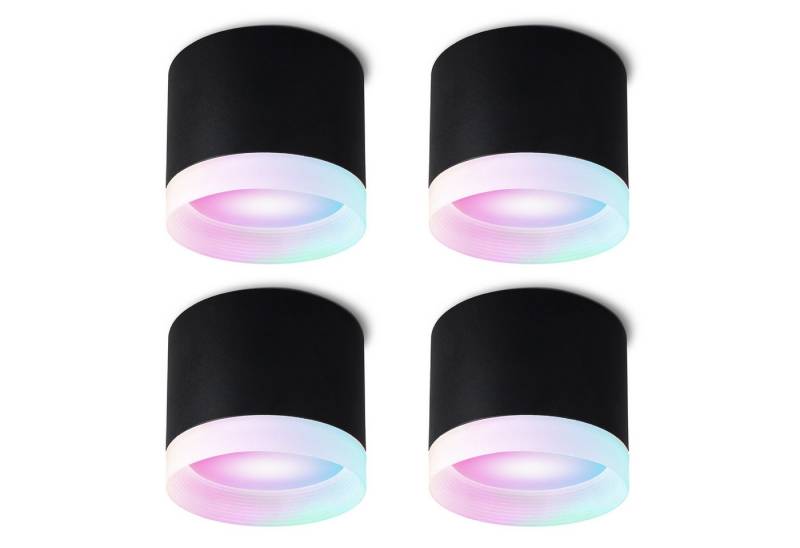 SSC-LUXon LED Aufbaustrahler VORA Deckenspot matt schwarz mit GX53 Smart LED RGB+W Wifi, RGB & Weißtöne von SSC-LUXon
