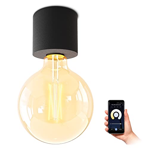 SSC-LUXon NAMBI Aufbau Deckenleuchte inkl. Smart Home WiFi E27 LED Vintage Globe - Aufbauleuchte schwarz kompatibel mit Alexa, Siri & Google von SSC-LUXon