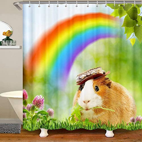 Duschvorhang 120x200 Regenbogen-Meerschweinchen, 3D Drucken Shower Curtains Textil Anti Schimmel Wasserdicht Duschvorhänge Badewanne Stoff Polyester Waschbar Vorhang mit 8 Haken von SSCDDC