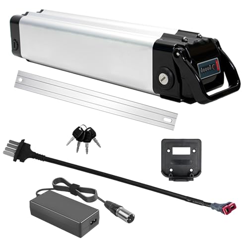 SSCYHT 24-Volt-E-Bike-Akku, 24 V, 10 Ah, 8,5 Ah, 18 Ah, 13 Ah, Lithium-Akku, 24 V, Elektrofahrrad-Akkus mit Ladegerät und 4-poligem Anschluss für 200 W – 450 W Motor,24v15ah t Plug SSCYHT 24-Volt-E-Bike-Akku, 24 V, 10 Ah, 8,5 Ah, 18 Ah, 13 Ah, Lithium-Akku, 24 V, Elektrofahrrad-Akkus mit Ladegerät und 4-poligem Anschluss für 200 W – 450 W Motor,24v15ah t Plug von SSCYHT