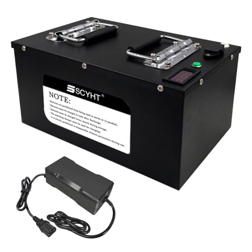 SSCYHT 48 Volt LiFePO4 Batterie 48 V 50 Ah 46 Ah 60 Ah Deep Cycle Batterie 48 V Lithiumbatterien mit Ladegerät und Display für 250 W – 2400 W Motorkit für Elektrostapler,48v50ah SSCYHT 48 Volt LiFePO4 Batterie 48 V 50 Ah 46 Ah 60 Ah Deep Cycle Batterie 48 V Lithiumbatterien mit Ladegerät und Display für 250 W – 2400 W Motorkit für Elektrostapler,48v50ah von SSCYHT