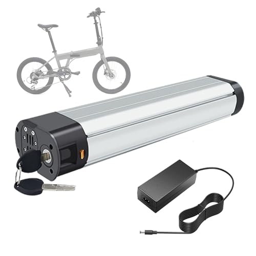 SSCYHT E-Bike-Akku 36 V 10,4 Ah 14 Ah Lithium-Akku 36 V Elektrofahrrad-Akkus 14 Ah wiederaufladbare Akkus mit Ladegerät und 6-Loch-Anschluss für 250 W – 500 W Motor-Kit,36v10.4ah 356mm SSCYHT E-Bike-Akku 36 V 10,4 Ah 14 Ah Lithium-Akku 36 V Elektrofahrrad-Akkus 14 Ah wiederaufladbare Akkus mit Ladegerät und 6-Loch-Anschluss für 250 W – 500 W Motor-Kit,36v10.4ah 356mm von SSCYHT