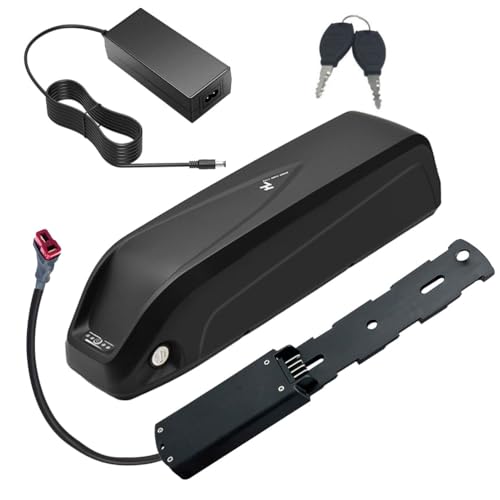 SSCYHT Lithium-Akku 36 V 13 Ah 15 Ah Ersatzakku 48 V 12 Ah 10,4 Ah Li-Ionen-Akkus 36 V Unterrohrakkus mit Ladegerät und 4-poligem Anschluss für 250 W – 700 W Motorkit,36v15ah t Plug SSCYHT Lithium-Akku 36 V 13 Ah 15 Ah Ersatzakku 48 V 12 Ah 10,4 Ah Li-Ionen-Akkus 36 V Unterrohrakkus mit Ladegerät und 4-poligem Anschluss für 250 W – 700 W Motorkit,36v15ah t Plug von SSCYHT