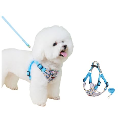 SSDH Hundegeschirr für Kleine und Mittelgroße Hunde Welpengeschirr mit Leine Superweiches Atmungsaktives Mesh Reflektierend bei Nacht Geeignet für Tägliche Spaziergänge (Blau, S) von SSDH
