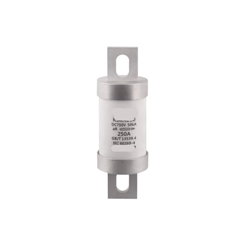 SSDXFJZR DC1000VRSM4230 RS309 Rundrohr-Energie-Automobilsicherung 750 VDC(DC1000V300A50) von SSDXFJZR