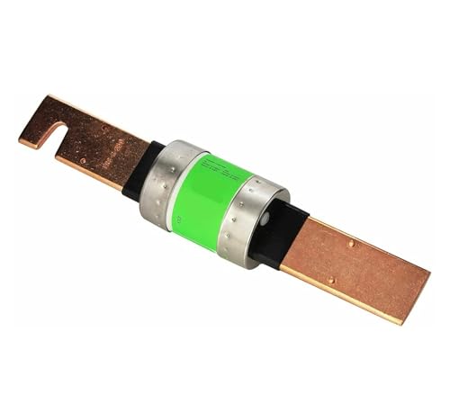 1 STÜCKE FRS-R-350 350A 600 V Zeitverzögerungssicherung 1 STÜCKE FRS-R-350 350A 600 V Zeitverzögerungssicherung von SSDZVTRE