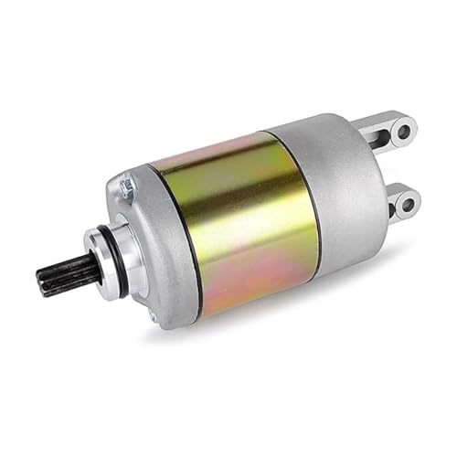 Für Aprilia Leonardo 250 1999-2001 Leonardo 300 2004-2006 2005 Motorrad-Anlasser Spule von SSFGHRHQ