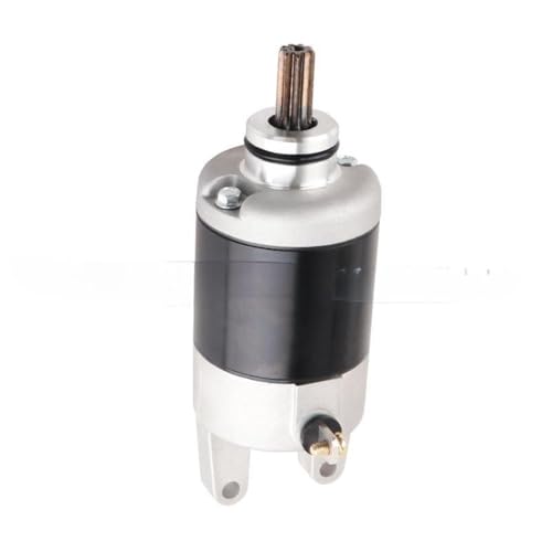 Für CZD300 X-MAX 300/ABS 2017-2020 Motorrad Anlasser 5VY-81890-00 5VY-81890-01 4C8-81890-00 4E8-81890-01 Spule von SSFGHRHQ