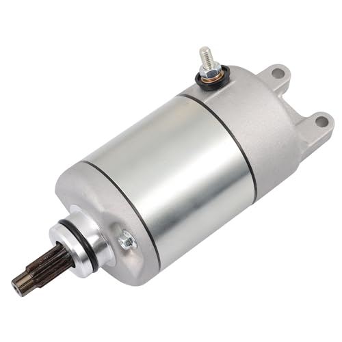 Für Hon&da TRX300EX 1993-2009 1994 1995 1996 1997 2000 2005 2006 2007 2008 10T Motorrad Starter Motor Spule von SSFGHRHQ