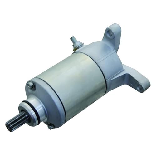 Für Suzuki Lt-F250 Lt-F230 Lt-F160 2002-2009 2003 2004 2005 2006 2007 2008 Motorrad Starter Motor Spule von SSFGHRHQ