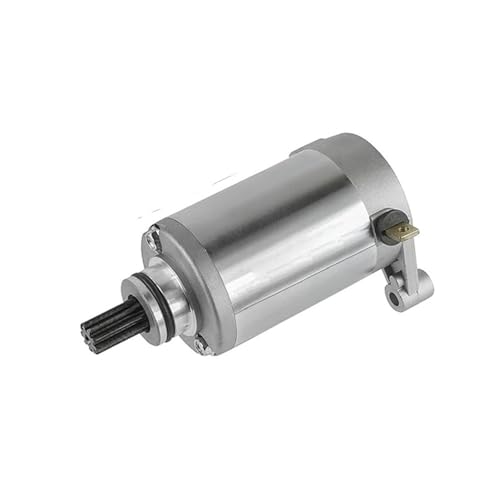 Für VOGE GV250 GT250R GT125 Comet 2003 GT125R Comet 2006 GT250 Motorrad Starter Motor Spule von SSFGHRHQ