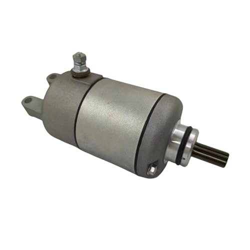 Für YP250 31200-ABD2-C00 Motorrad Anlasser 31200-ABD2-C00 Spule Für YP250 31200-ABD2-C00 Motorrad Anlasser 31200-ABD2-C00 Spule von SSFGHRHQ
