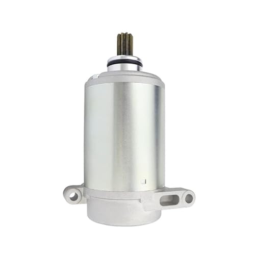 Für Yama&ha Wolverine 350 Big Bear 400 Kodiak4004WD YFM350FWBJ Motorrad Starter Motor Spule von SSFGHRHQ