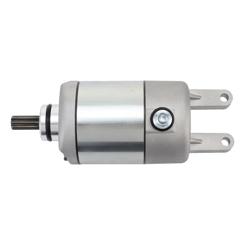 Für Yama&ha YP250 MAJESTY250 MBK 250 MAX250 2005-2013 2006 2007 2008 2009 2010 2011 2012 Motorrad Starter Motor Spule von SSFGHRHQ